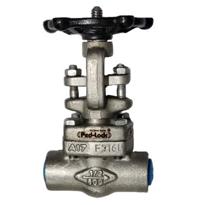 Globe Valve
