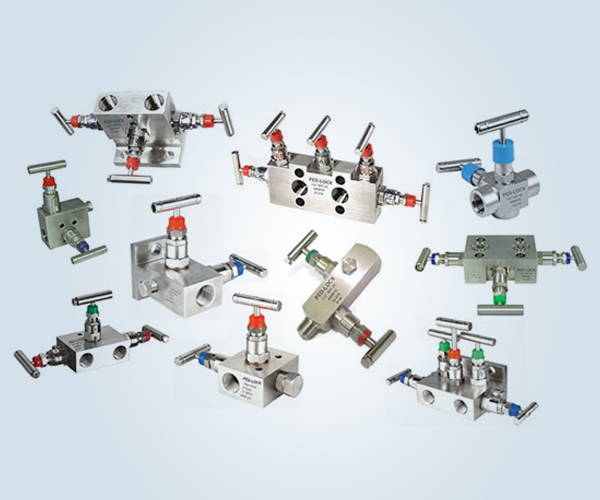 Manifolds Valve